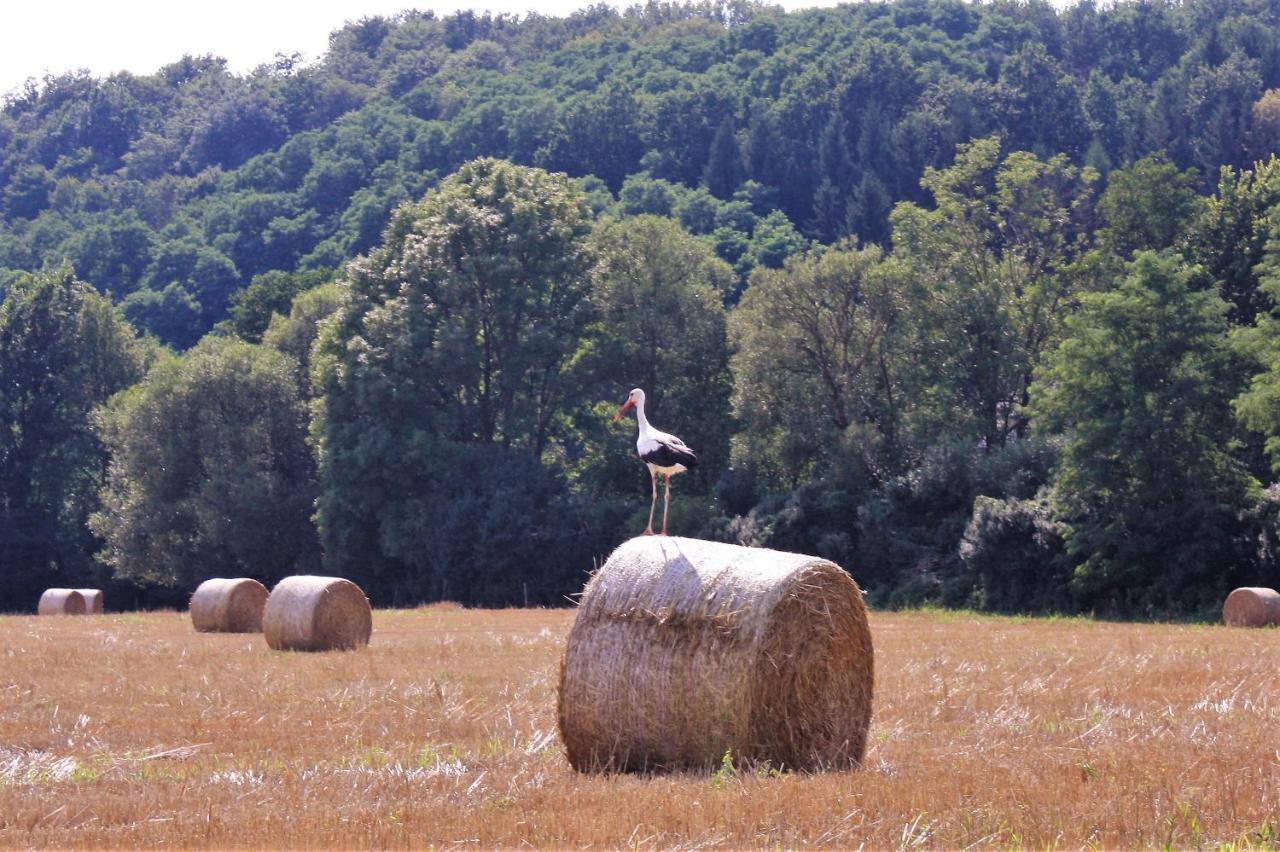 Naturpark Vendégház Alsoszolnok Exterior foto
